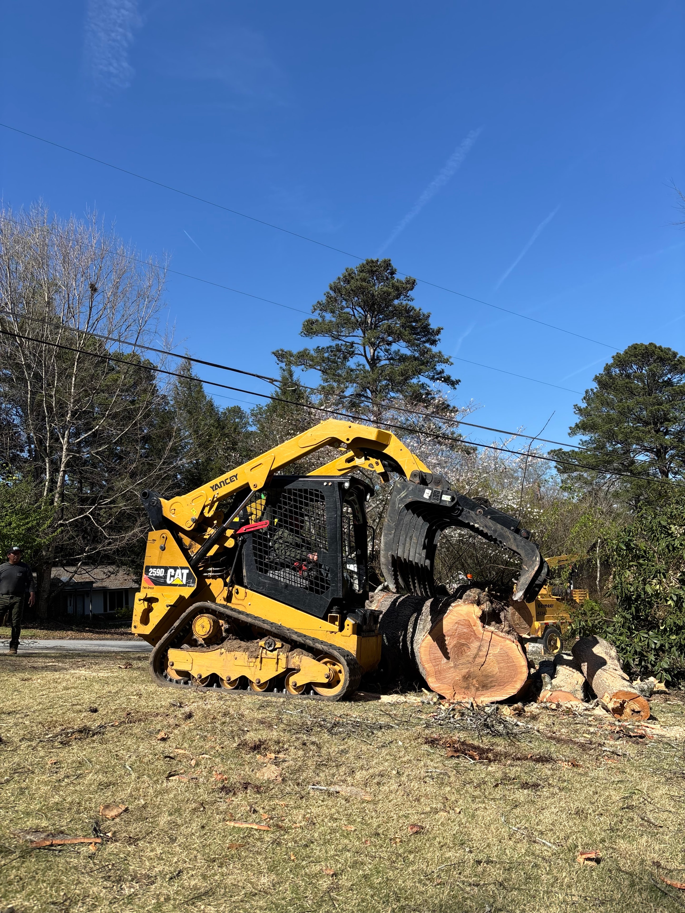 Stump Grinding