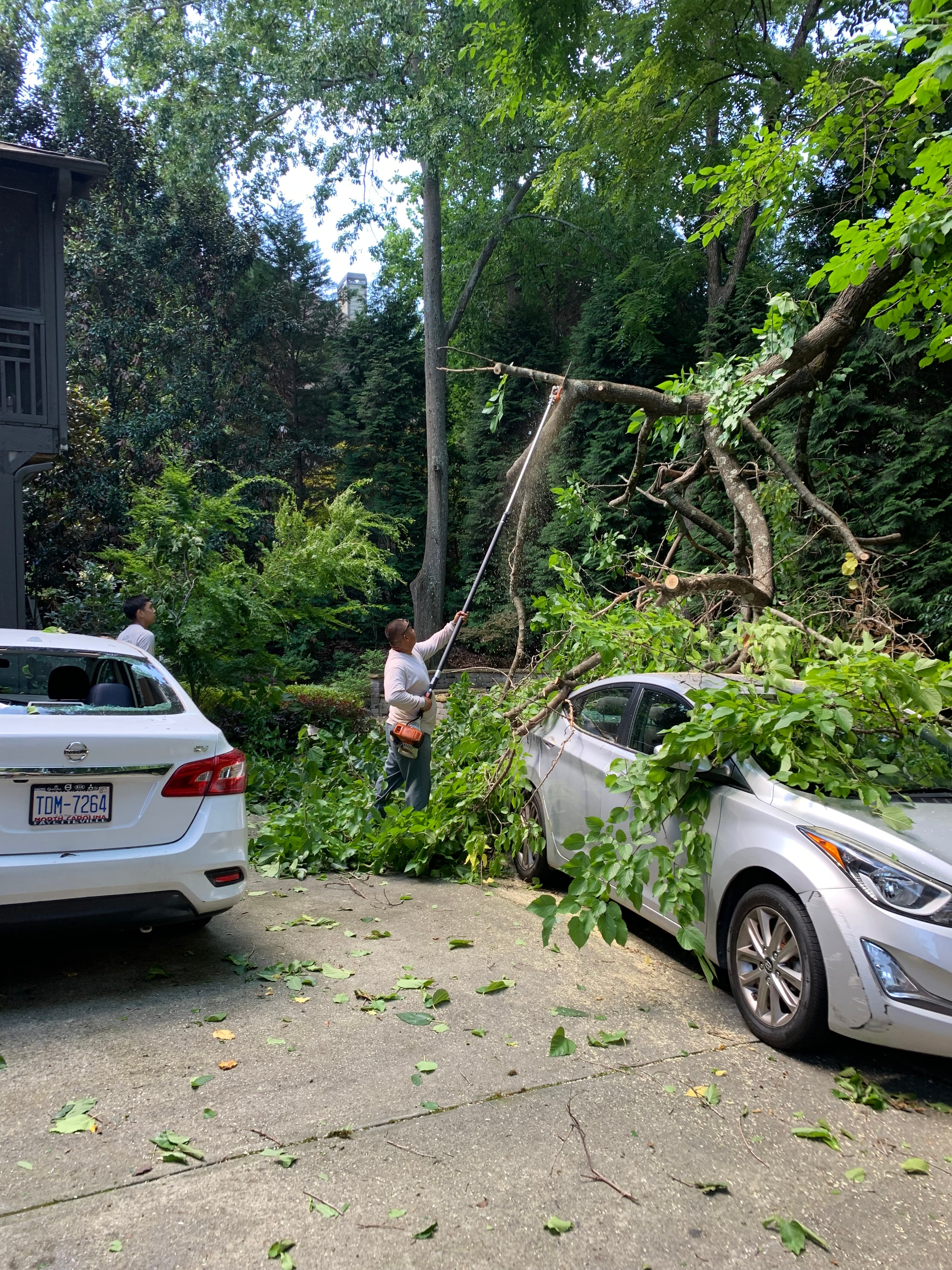 J&J's tree removal crew on residential street