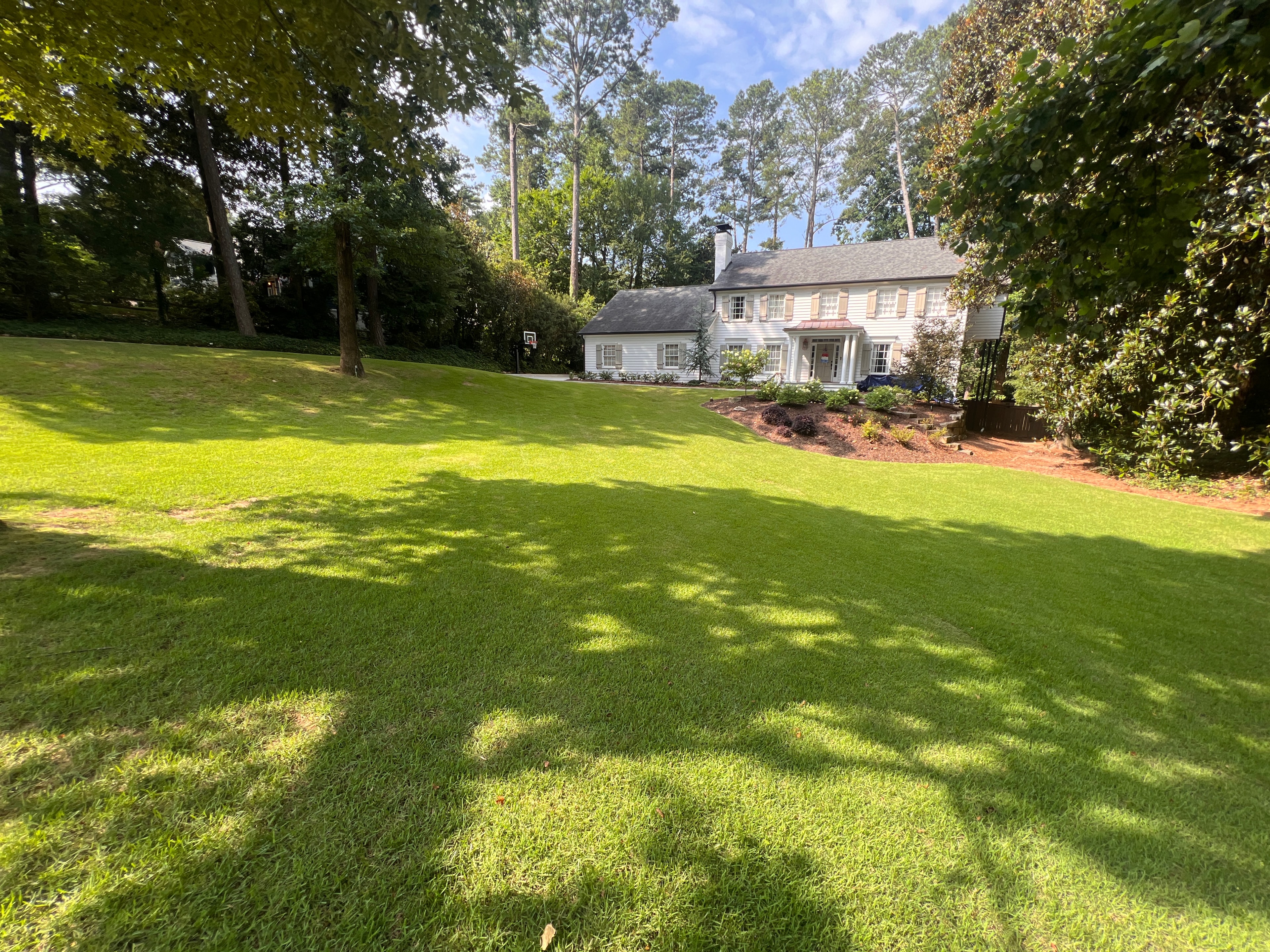 Professional landscaping service on a residential property