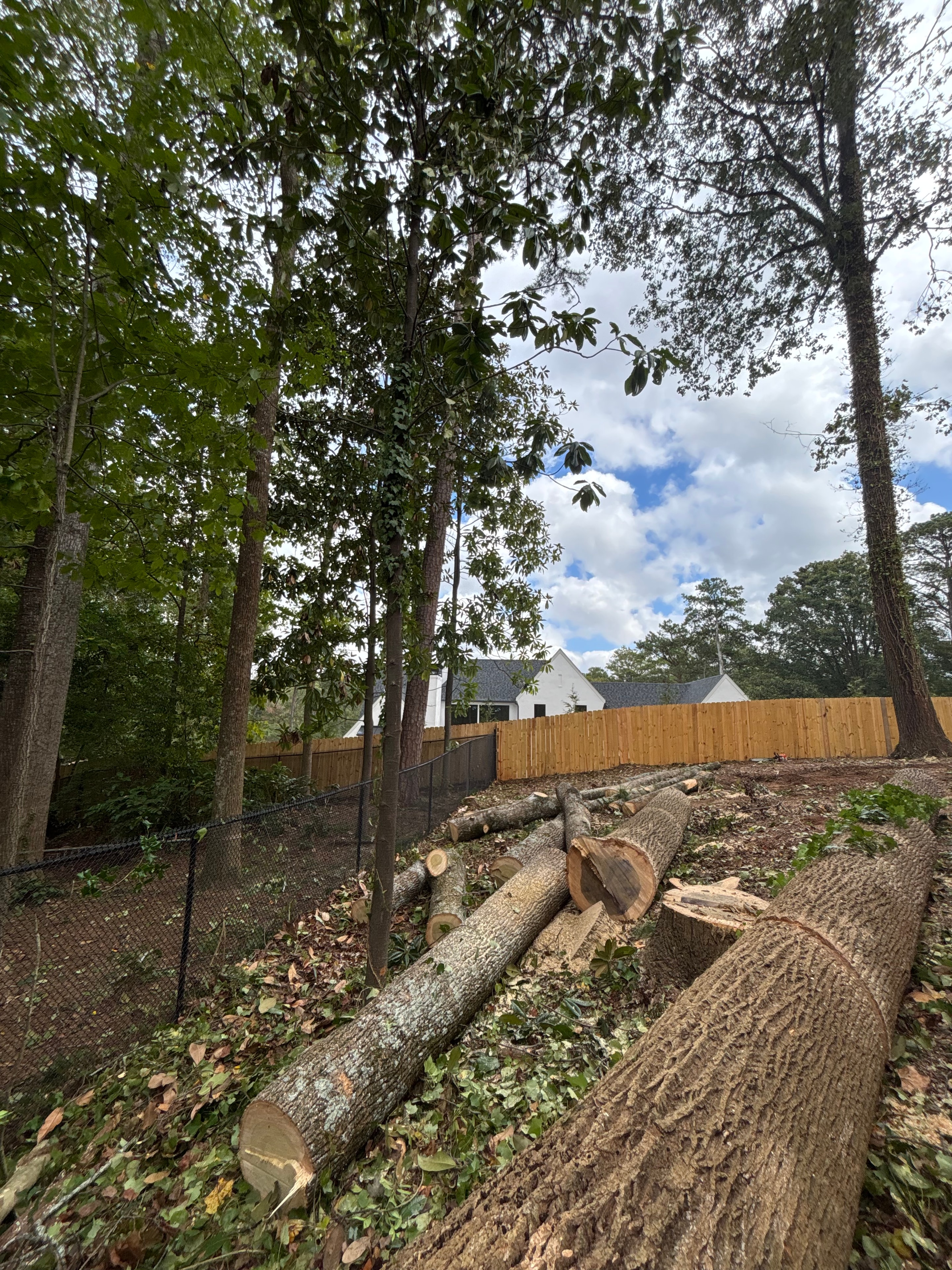 Tree removal — cut logs next to residential deck